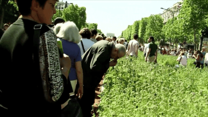 Balade dans Nature&nbsp;capitale